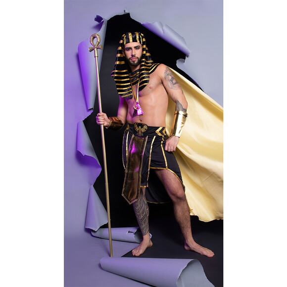 NEW King of Eqypt Pharoah Costume Size Medium - Picture 3 of 10